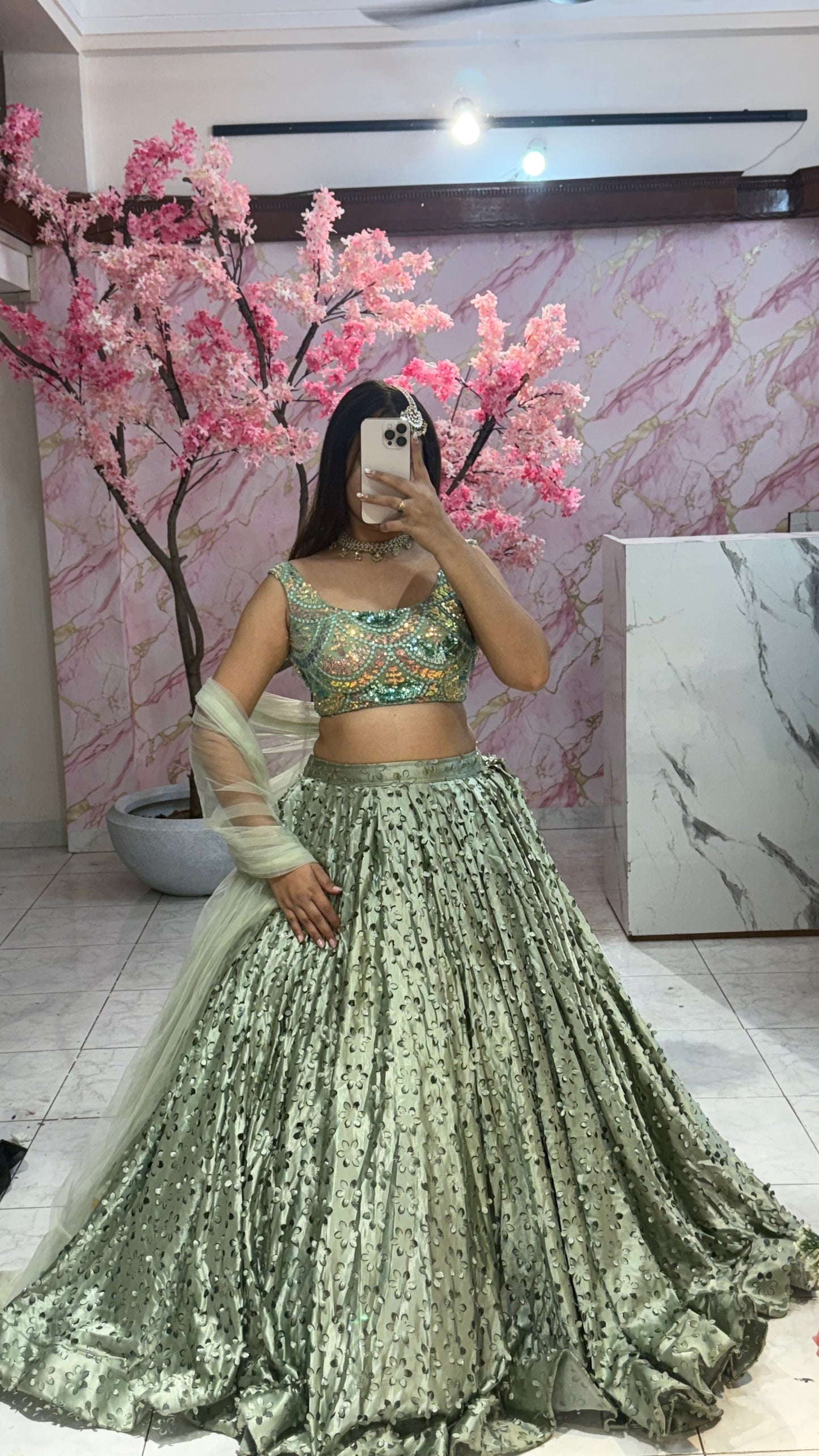 Beautiful flairy lehenga 317