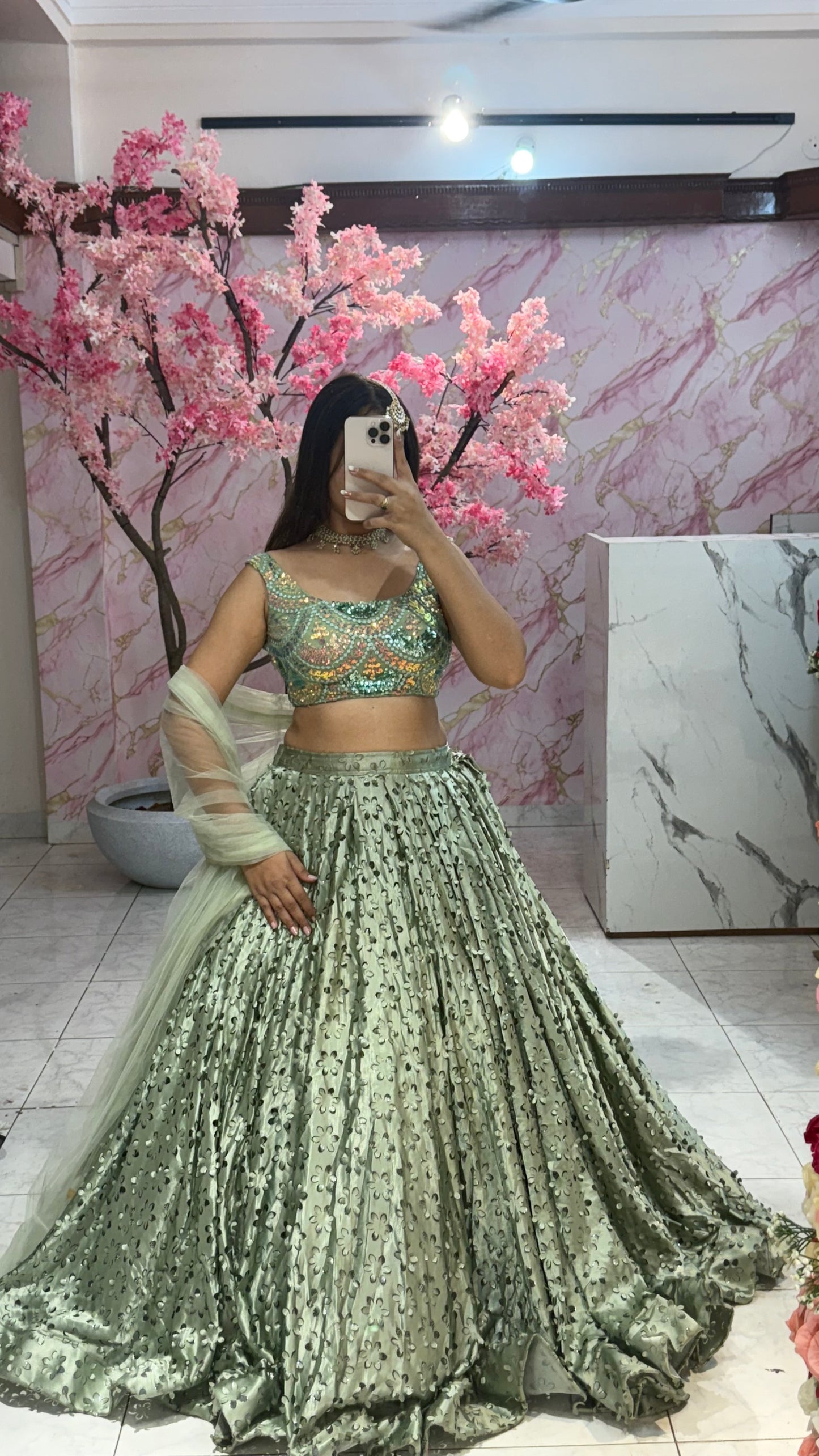 Beautiful flairy lehenga 317