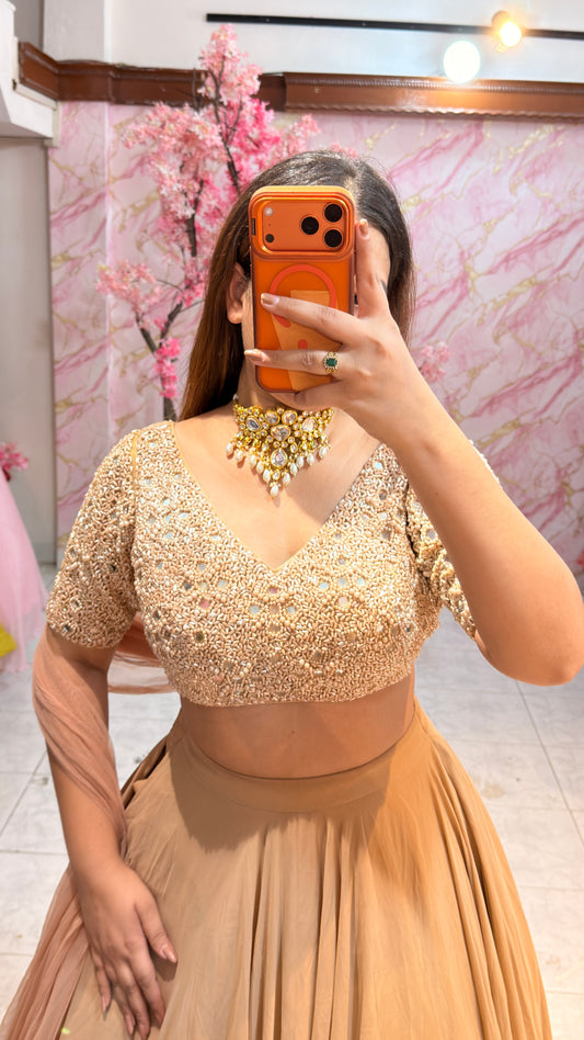 Embellished wedding lehenga 4069