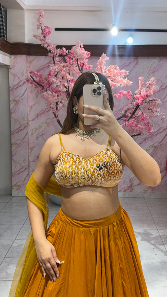 Beautiful flairy lehenga 401