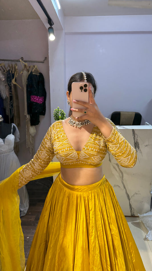 Beautiful flairy lehenga 272