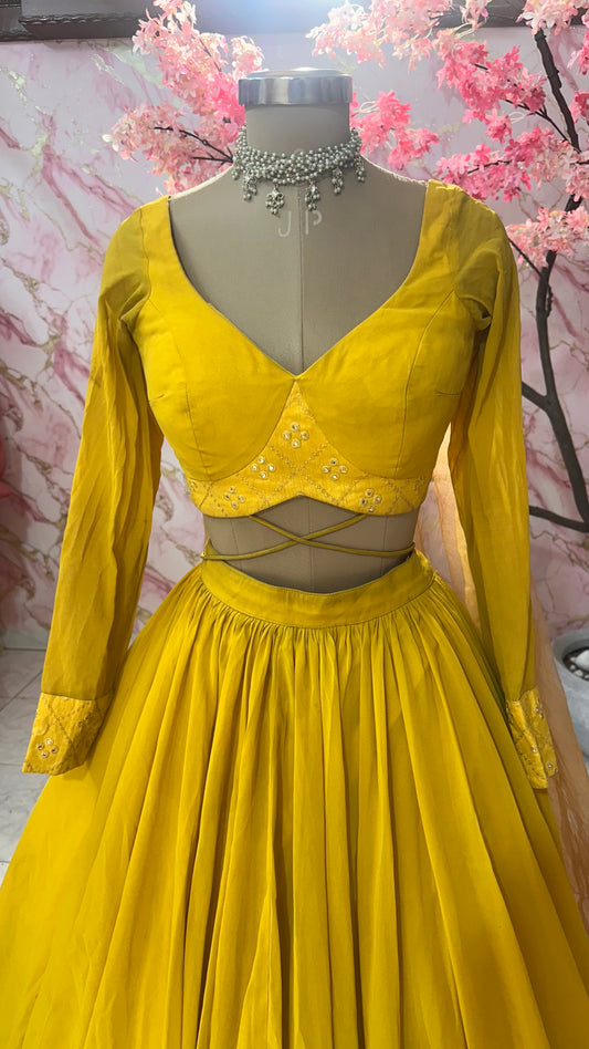 Beautiful flairy lehenga 577