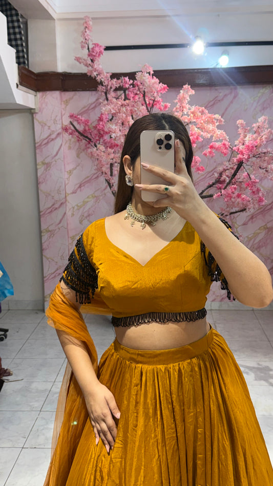 Beautiful flairy lehenga 412