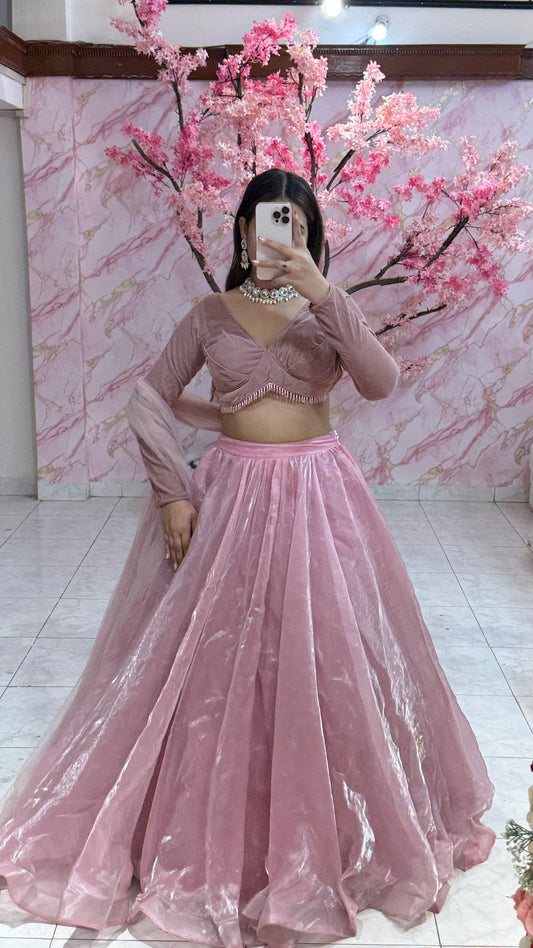 Beautiful flairy lehenga 319