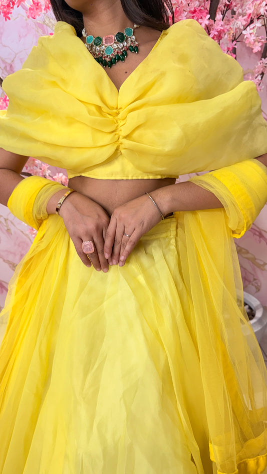 Butterfly yellow lehenga 4002