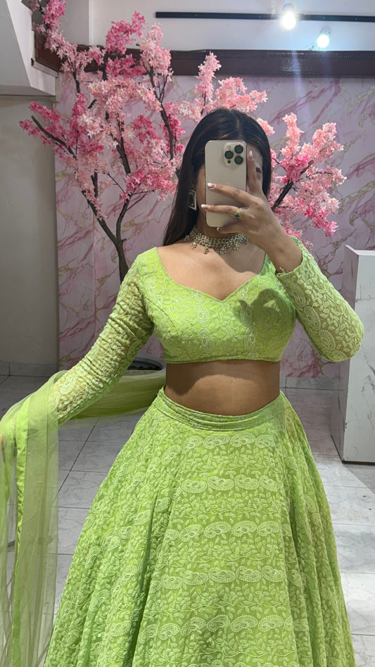 Beautiful flairy lehenga 314