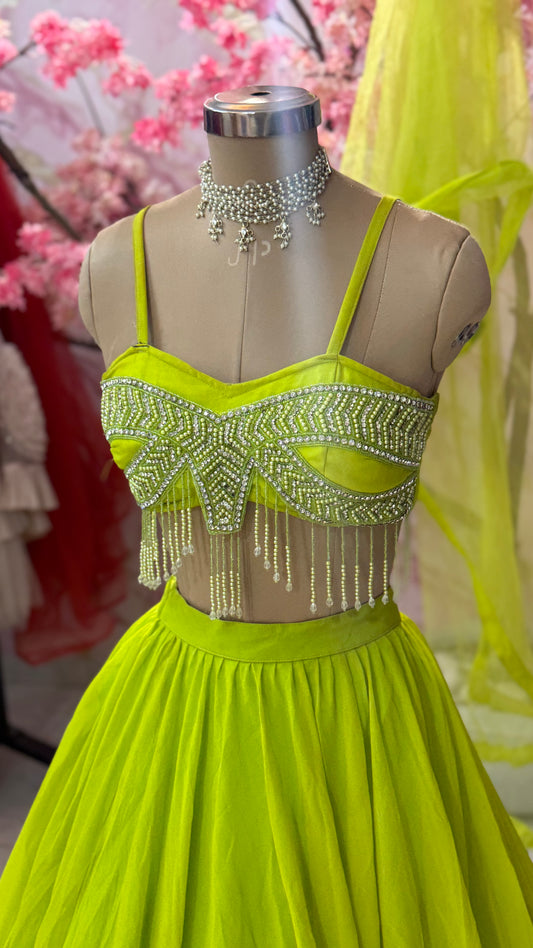 Beautiful flairy lehenga 446