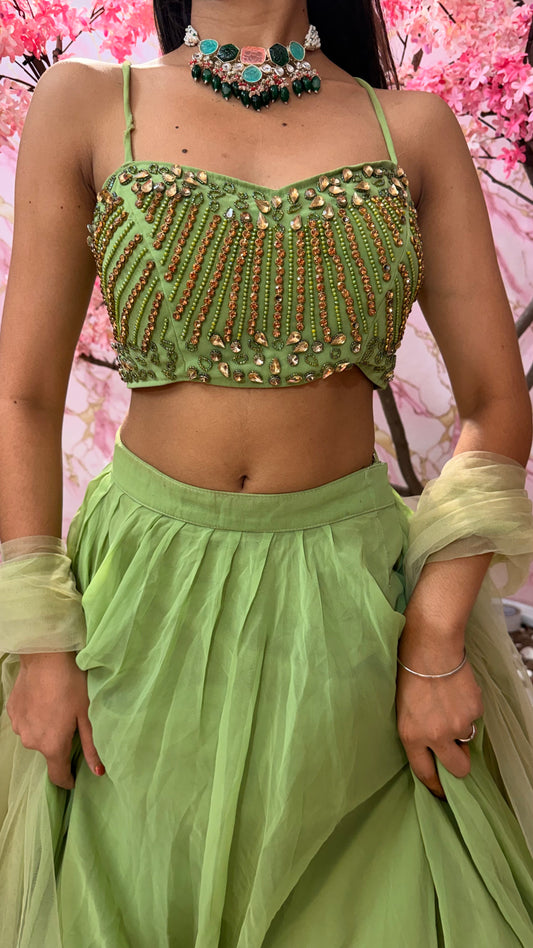 Embellished wedding lehenga 4042