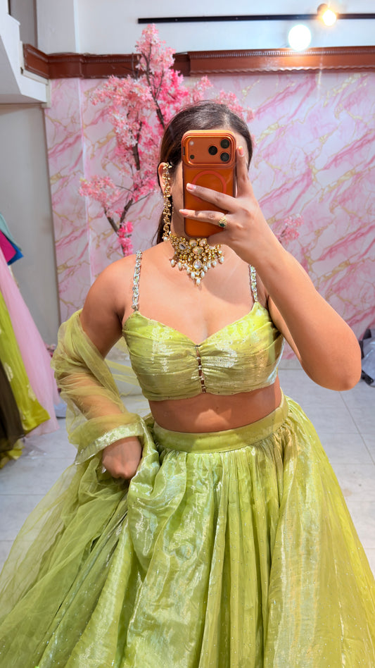 Embellished wedding lehenga 4076