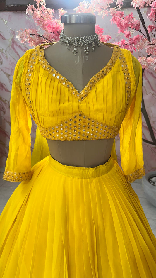 Beautiful flairy lehenga 581