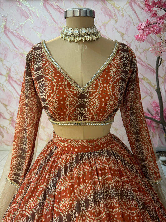Embellished wedding lehenga 4099