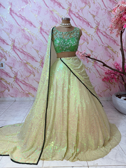 Embellished wedding lehenga 4153