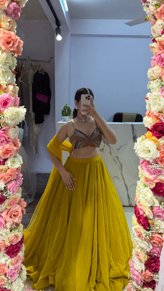 Beautiful flairy lehenga 284