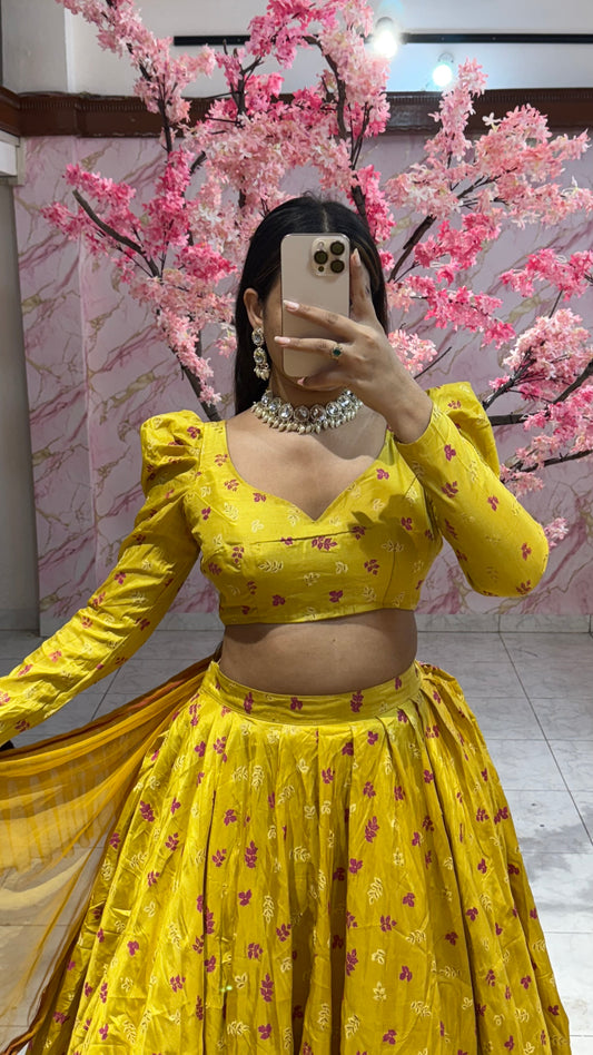 Beautiful flairy lehenga 337