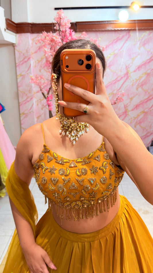 Embellished wedding lehenga 4064