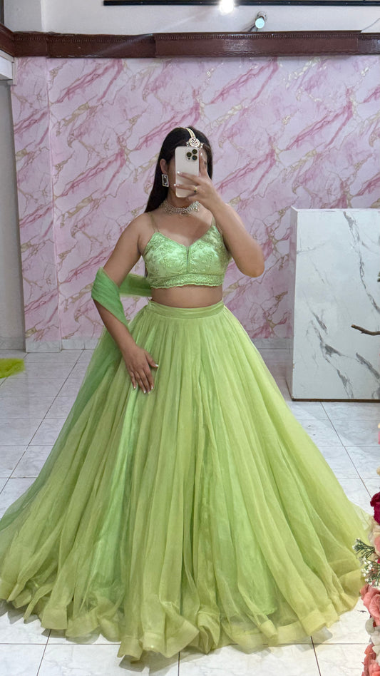 Beautiful flairy lehenga 303