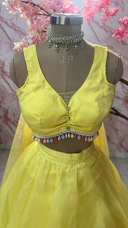 Beautiful flairy lehenga 563